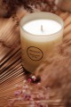 blackcurrant-fig-1.jpg