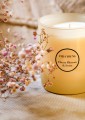 cherry-blossom-4.jpg