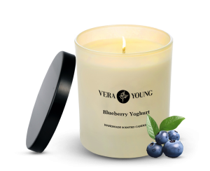 Blueberry Yoghurt - Dandy 220g